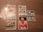 Panini Voetbal België 1982, Ophalen of Verzenden, Zo goed als nieuw, Ajax, Poster, Plaatje of Sticker
