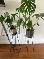 2 Plantenstandaards zwart driepoot, Tuin en Terras, Bloembakken en Plantenbakken, Ophalen, Kunststof, Minder dan 30 cm, Minder dan 60 cm