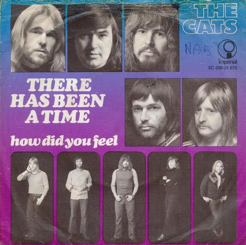 1875 The Cats - There has been a time (1972), Cd's en Dvd's, Vinyl Singles, Gebruikt, Single, Pop, 7 inch, Ophalen of Verzenden