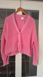 Vest rose, Ophalen of Verzenden, Zo goed als nieuw, Roze