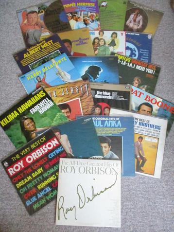 Lot Vinyl LP 86 stuks & Single 52 stuks beschikbaar voor biedingen