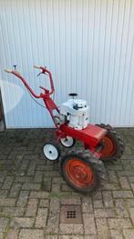 Tuinfrees te koop, Ophalen, Zo goed als nieuw, Overige soorten