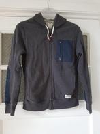 Elements grijs vest met capuchon, maat s, Ophalen of Verzenden, Zo goed als nieuw, Maat 48/50 (M), Grijs