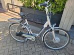 Nette sparta ion rx e bike
Goede remmen
Verende voorvork zad, Ophalen, Sparta, Gebruikt, 55 tot 59 cm