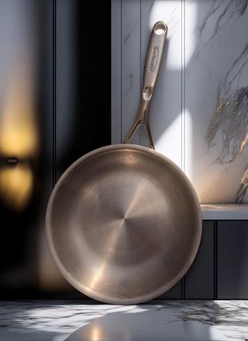 Demeyere koekenpan 24 cm 7-Ply Triplynduc – bijna nieuw beschikbaar voor biedingen