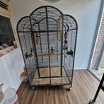 Robuuste Dubbele papagaaien kooi, Dieren en Toebehoren, Vogels | Hokken en Kooien, Ophalen, Gebruikt, Metaal, Vogelkooi