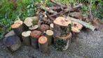 Boomstronken voor houtbewerking, prijs vanaf en per stuk, Doe-het-zelf en Verbouw, Hout en Planken, Ophalen of Verzenden, Minder dan 200 cm