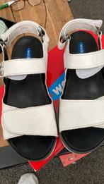 Wolky 38 sandalen wit, Kleding | Dames, Schoenen, Ophalen of Verzenden, Zo goed als nieuw, Wit, Sandalen of Muiltjes