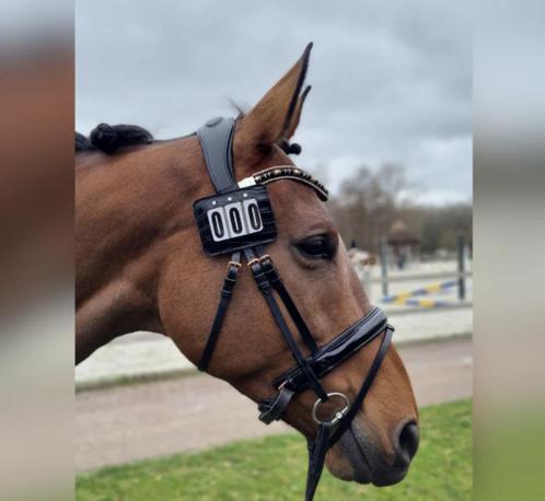 Nummerhouder voor hoofdstel of chabrak van 29,95 voor 14,95!, Dieren en Toebehoren, Paarden en Pony's | Dekens en Dekjes, Nieuw