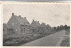elim- pereboomlaan, Ophalen of Verzenden, 1940 tot 1960, Friesland