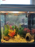 Prachtig aquarium met guppies!, Dieren en Toebehoren, Vissen | Aquaria en Toebehoren, Ophalen, Zo goed als nieuw