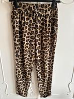 Nieuw tijgerprint broek Zara maat XS, Bruin, Nieuw, Ophalen of Verzenden, Maat 34 (XS) of kleiner