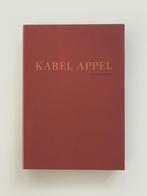 Ik wou dat ik een vogel was en Karel Appel 1988-1990 Fuchs, Rudi Fuchs, Ophalen of Verzenden, Zo goed als nieuw, Schilder- en Tekenkunst