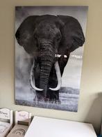 Prachtig Olifanten Schilderij, Huis en Inrichting, Ophalen, Zo goed als nieuw, Schilderij, 75 tot 100 cm