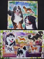 - 881 - 2 Blokken met Diverse Honden rassen., Verzenden, Gestempeld, Dier of Natuur