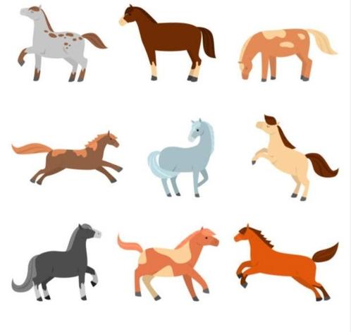 GEZOCHT weidemaatje, Dieren en Toebehoren, Stalling en Weidegang, Opfok, Weidegang