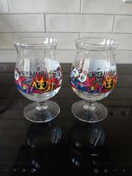 Duvel art glass, Loes van Delft (2), Ophalen of Verzenden, Zo goed als nieuw, Glas of Glazen, Duvel