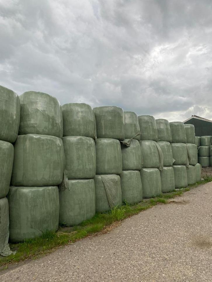 Kuilbalen, Dieren en Toebehoren, Dierenvoeding, Vee, Ophalen