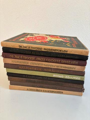 10 Verkade albums beschikbaar voor biedingen