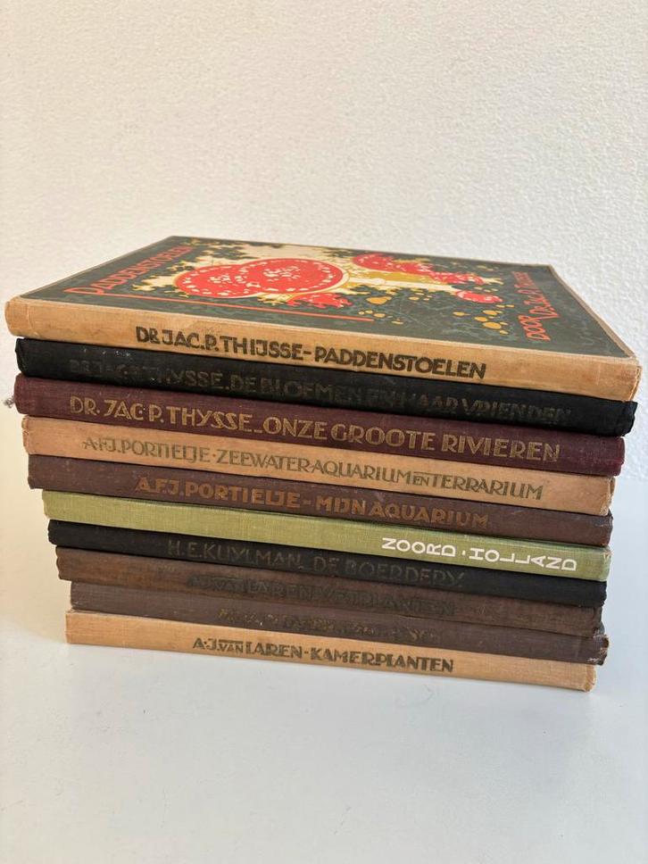 10 Verkade albums, Boeken, Prentenboeken en Plaatjesalbums, Gelezen, Plaatjesalbum, Ophalen of Verzenden