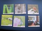 6 x kwartaal magazine Het Drentse Landschap kwartaalblad, Ophalen of Verzenden, Zo goed als nieuw, Natuur algemeen