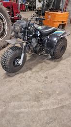Trike 185 landbouwkenteken, Motoren, Quads en Trikes