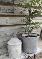 Zinken olievat / ton / olieton / tuindecoratie, Ophalen