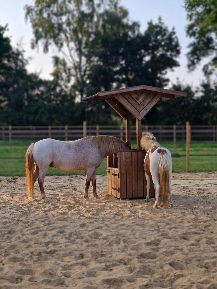 Hooihuis hooibak slowfeeder hooiruif, Dieren en Toebehoren, Paarden en Pony's | Overige Paardenspullen, Ophalen of Verzenden