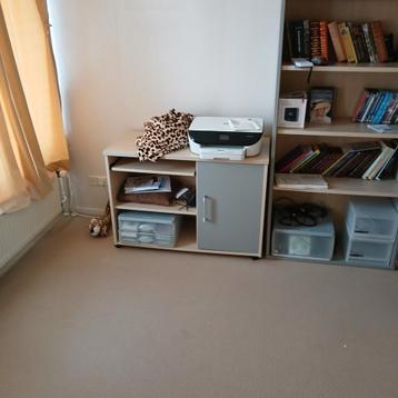 Kastje met printer en boekenkast- Gratis af te halen! beschikbaar voor biedingen