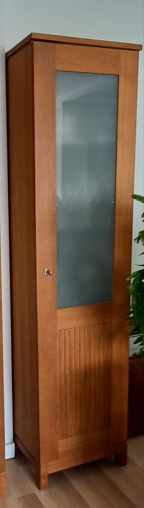 Moderne smalle eiken kast beschikbaar voor biedingen