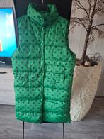 Bodywarmer groen  one size, Ophalen of Verzenden, Nieuw, Maat 38/40 (M), Groen