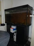 Aquarium voor de liefhebber, Ophalen of Verzenden, Zo goed als nieuw