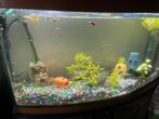 Juwel vision 180, Dieren en Toebehoren, Vissen | Aquaria en Toebehoren, Ophalen, Zo goed als nieuw, Leeg aquarium
