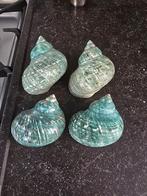 Mooie groene gepolijste Turbo schelpen, geen kleintjes, Ophalen of Verzenden