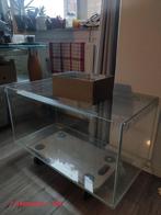 (Almost) Complete Set of Syrian Hamster Supplies, Minder dan 60 cm, Overige typen, Minder dan 75 cm, Ophalen of Verzenden