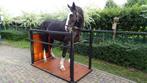 Paarden pony Opvoelbox of Behandelbox kopen/huren, 1 paard of pony, Toebehoren