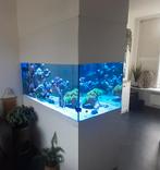 Zee aquarium, Dieren en Toebehoren, Ophalen, Gebruikt, Leeg aquarium