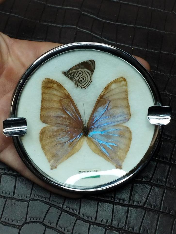 Een zeldzame asbak met een vlinder, Brazilië, Antiek en Kunst, Antiek | Koper en Brons, Ophalen of Verzenden