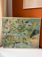 Vintage Lijst met Wilde Dieren Illustratie, Ophalen