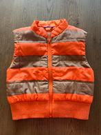 Leuke bodywarmer maat 74, Kinderen en Baby's, Babykleding | Maat 74, Gebruikt, Ophalen of Verzenden, Jongetje of Meisje, Hema