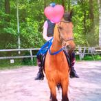 Betrouwbare ruiter/verzorger/stalhulp aangeboden!, Vacatures, Overige vormen
