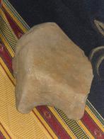 Neanderthaler artefact, Ophalen of Verzenden