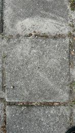 Zo’n 230 stoeptegels. Gratis af te halen., Tuin en Terras, Tegels en Klinkers, Ophalen, Gebruikt, 10 m² of meer, Beton