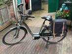 Mooi elektrische fiets Giant., Fietsen en Brommers, Ophalen, Zo goed als nieuw, 50 km per accu of meer, Overige merken