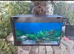 Mooie aquarium 2 jaar oud, Dieren en Toebehoren, Vissen | Aquaria en Toebehoren, Ophalen, Zo goed als nieuw, Leeg aquarium