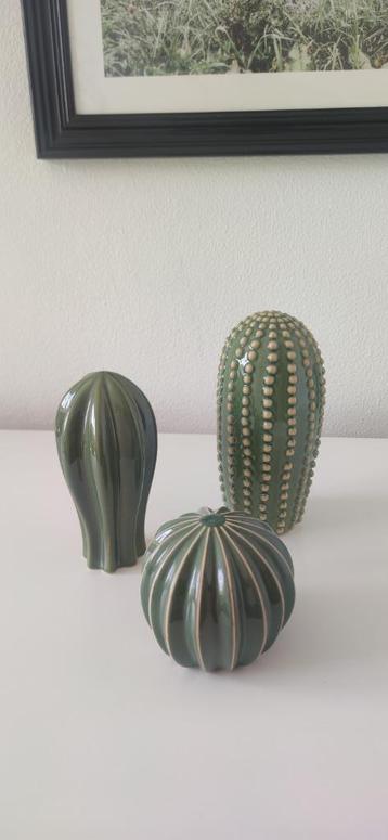 Decoratieve cactussen set beschikbaar voor biedingen