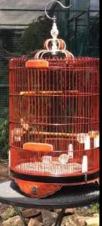 Indonesische vogelkooi schamalijster, Ophalen of Verzenden, Metaal, Vogelkooi