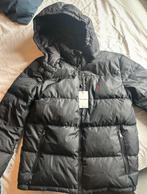 Polo Ralph Lauren Winterjas, Verzenden, Zwart, Maat 46 (S) of kleiner, Polo Ralph Lauren