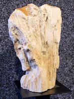 Versteend hout, meer dan 75 objecten versteend hout, Ophalen, Mineraal