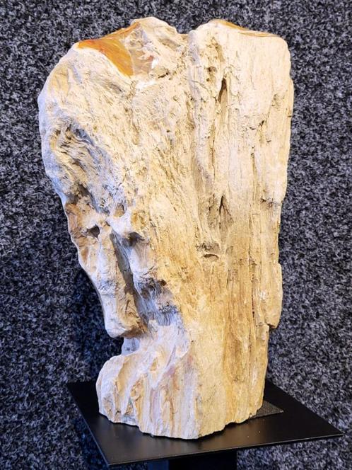 Versteend hout, meer dan 75 objecten versteend hout, Verzamelen, Mineralen en Fossielen, Mineraal, Ophalen